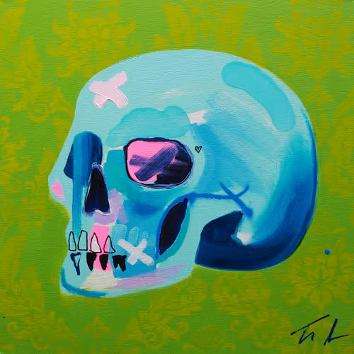 Memento Mori 100 Skulls By Tim Fowler
