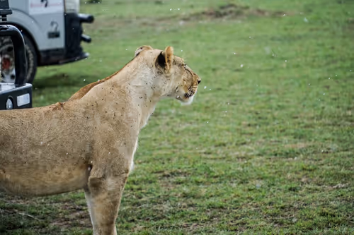 Item #112687108726403883410693318050335134033730152849283902503465333989149000073217 Media