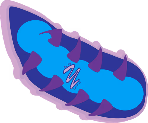 Item #104727181493744728705518732220435798389342412389779686618231511364380601090049 Media