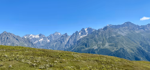 A-1-NFT Collection - old