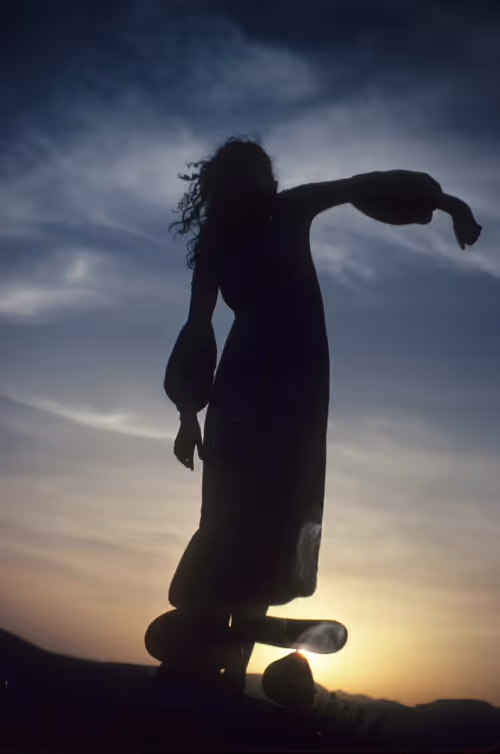 Item #94302163411569095589289123968041002973019814470584416299482263125224752939009 Media