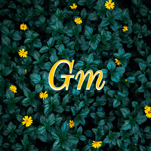 Crypto Acronym
