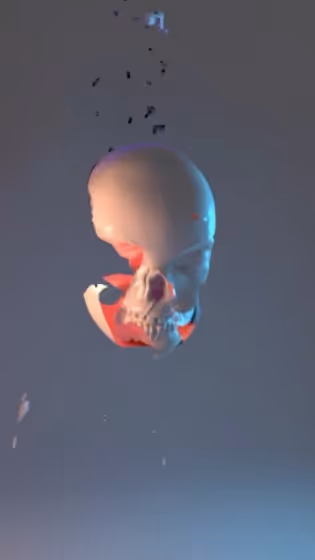 Item #35662924342885359017762346911149375706848643916370412545442272750148448681985 Media