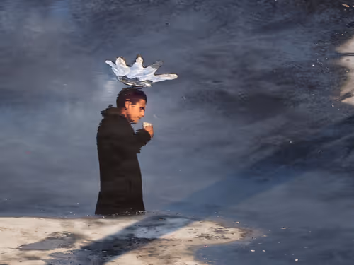 Item #75139149359335789943753797119922934850967723964530957591471526363119466053633 Media