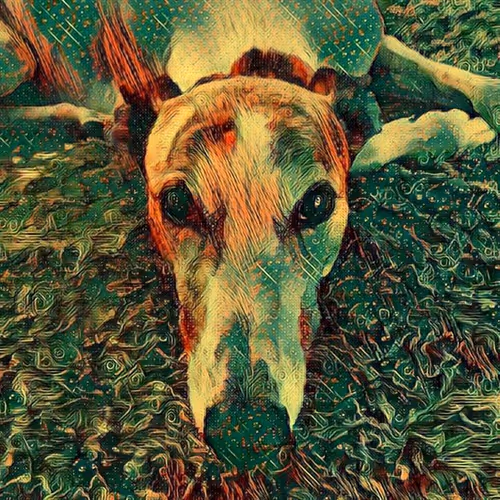 113233535435930126246803406212525192330824104616936385021501681196814479392769