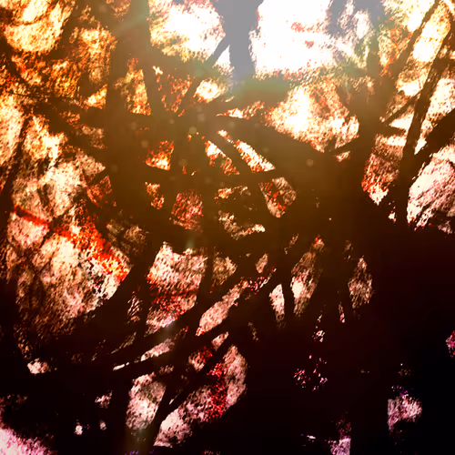 Item #38170623932324647724176819682094726644187779621139951957076771540274696421377 Media