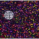 75095670497890257557362329544101162837399213364447091019291386956018601689089