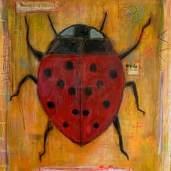 Ladybird