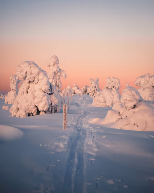 Item #85137439897558800446681939847979956921112818192745958846838338956760434343937 Media