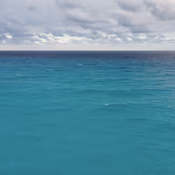 Into the sea