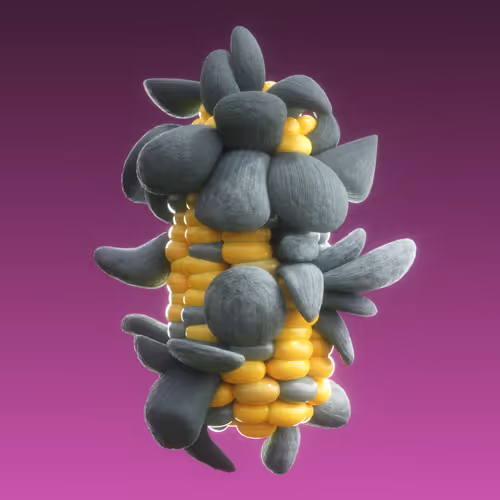 Item #95653877050150474555742155054455970472164202465768371638498213983280695345153 Media