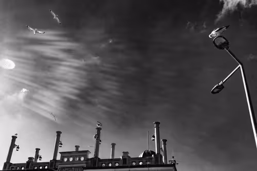 Item #95930744612989253264341458363878669706731092846429446161851758649703497990145 Media