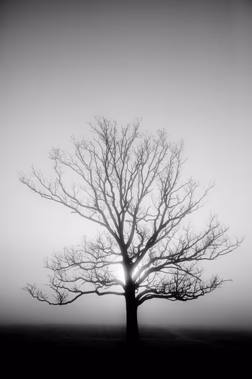 Item #7541061549894864195156407878226049609919453325507496884230064739546157809665 Media