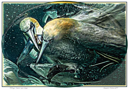 Item #6968899724388266606176016145545160509277227480062482001621938835998245912676 Media