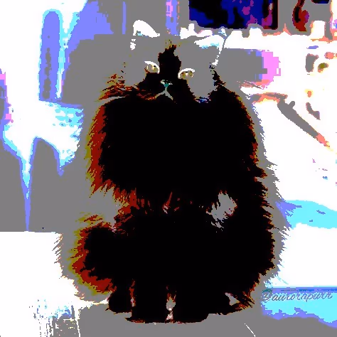 Item #23538819986925566434507765811444276093104658907602947149672917277836742492161 Media