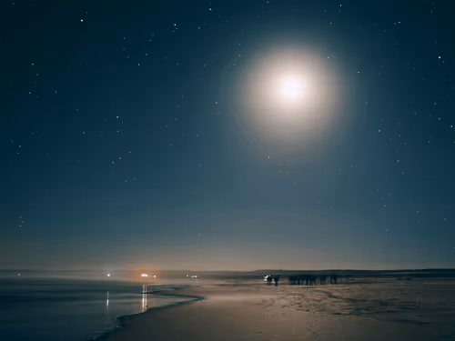 Item #48679334386113124300228803264312006813503011651693068006927871337418968793089 Media