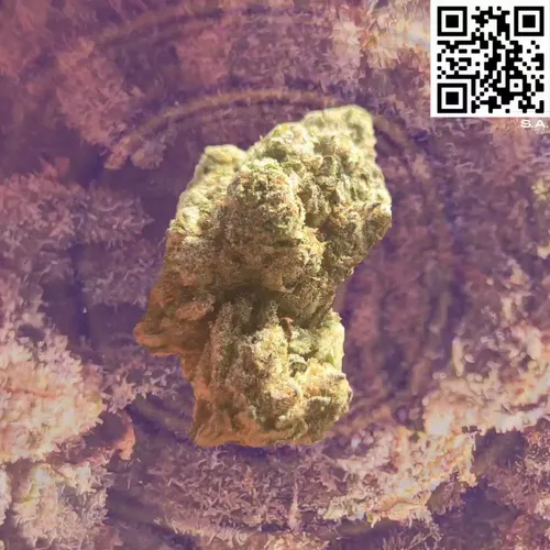 61089433673675855013240100592429788426200334601701735580530433777395887505409