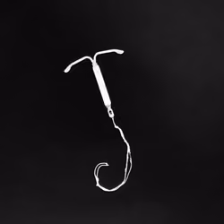 Anchor from Robin's Ship