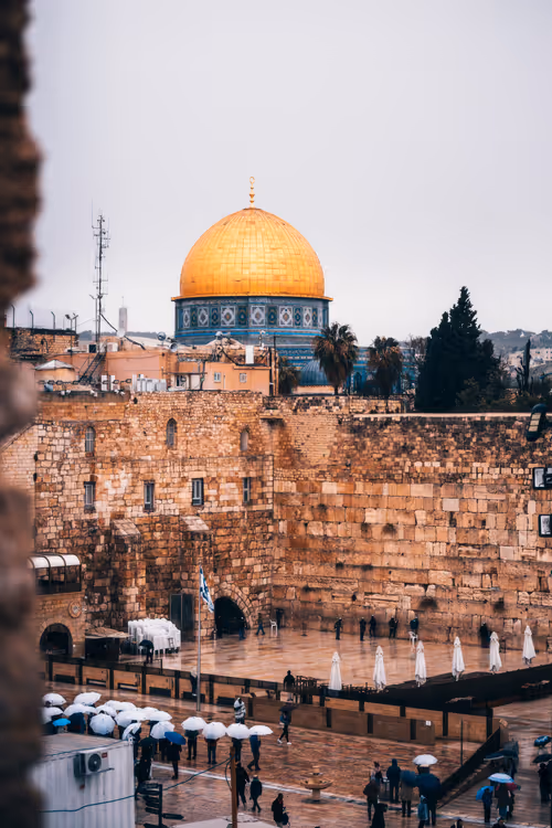 Item #91533776349707107334996359426163394312914568393480287964012023552583109967873 Media