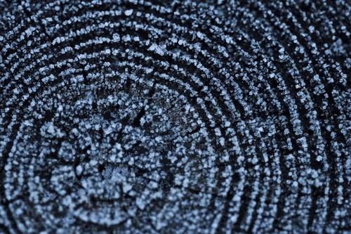 Item #13606181839721576894155883308236999132816604807813273145513526387950154153985 Media