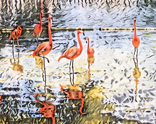 Item #24515379016287833430110687259411372809394655166763807580583558303794866421761 Media