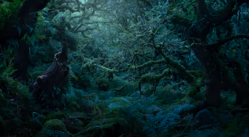 Item #72639390708267126639436568569652760193401123475841185469851730355509818032129 Media