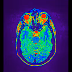 64162533542198579898252916190583583845604629893829087458582976199890808340481