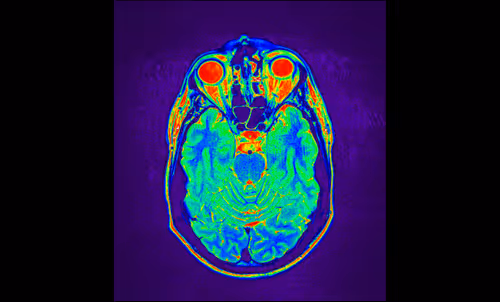 Item #64162533542198579898252916190583583845604629893829087458582976199890808340481 Media