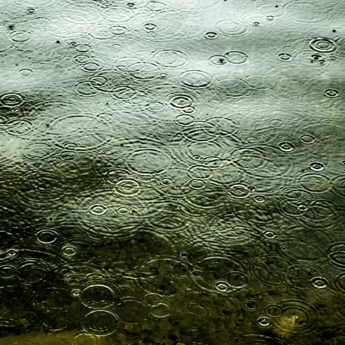 Item #110563264937173630415102547684714144673786021135482478862181301902106813267969 Media