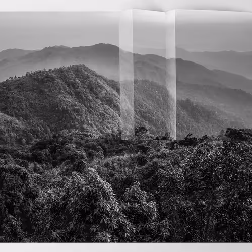 109162157552346088047496633038404394118504199992061596446112929576542873321473