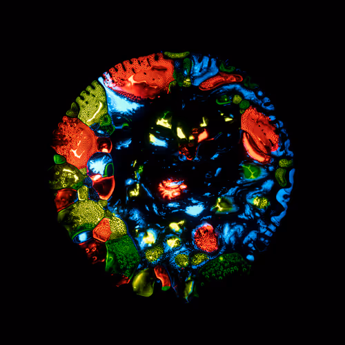 Item #39853347361311550538823328626004824816221754573894422864413753450636924420097 Media