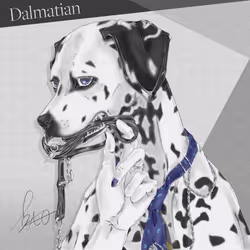 59698995597156753521260483355934506753642150267256783215488822736886140239873