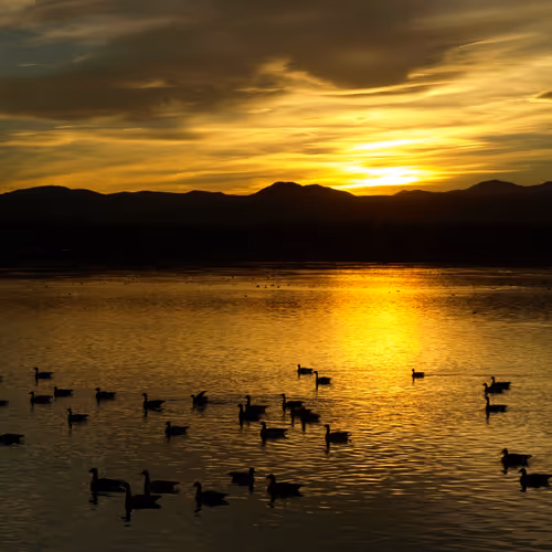 The Golden Hours
