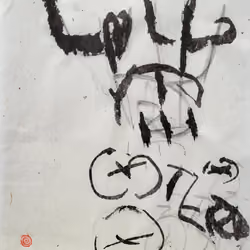 蕾
