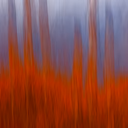Arson