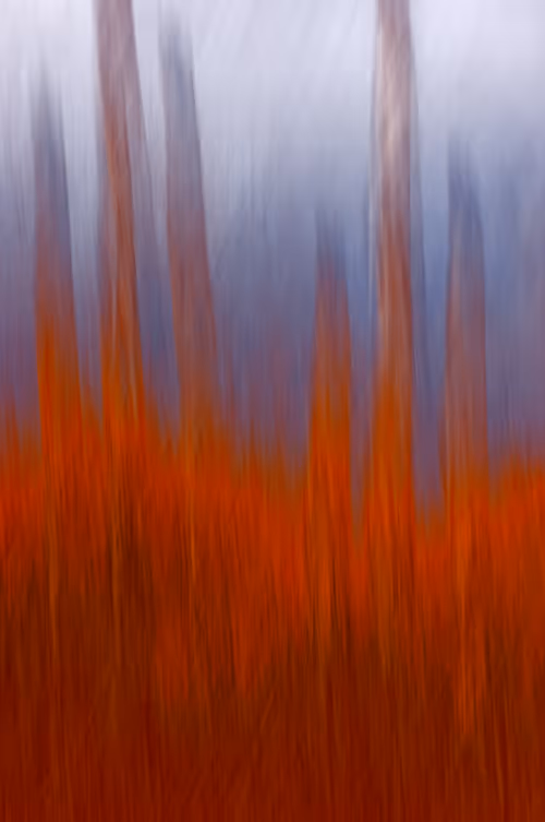 Item #62539403669685025686501917752583398735289456907083576647732505225032464596993 Media