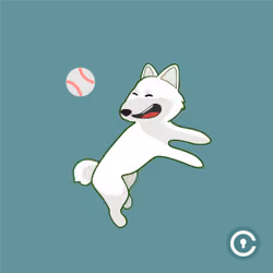 Shiba Inu Civic #31