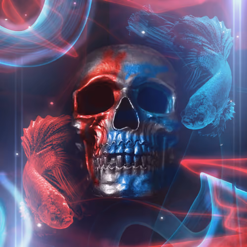 Duo color Skull