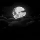 MoonNight