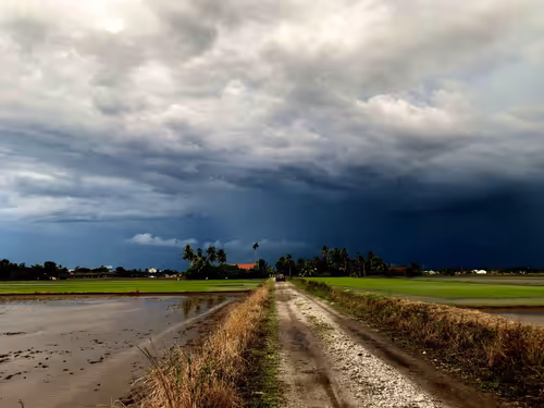 Item #45312671864033883435652767615020365995239278465702072772170088403328045154305 Media