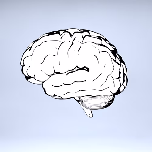 Item #77412820926303725204956055566925211190020908428863033075197849088479142608897 Media