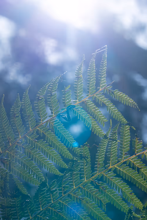 Item #61140817841535323188943582947873458398896939162862574355994582701845111635969 Media