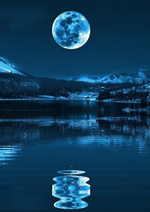 Item #19019849480130596372197804158528839790745498493654699018592737759188469415937 Media