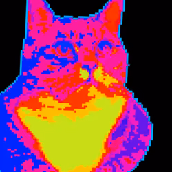 Kitty #22
