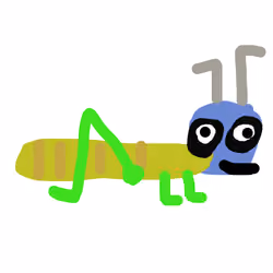 Grasshopper