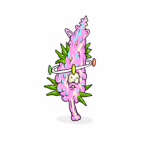 Item #67018328992259992026638048046987324721159456404063033754674586299919983706113 Media