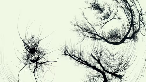 Item #24967146477419090921560663038626653354572651960968859782515528545005054459905 Media