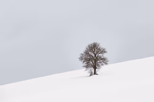 Item #82038507178112004707132471695972498506825775528903589266831690699660576423937 Media