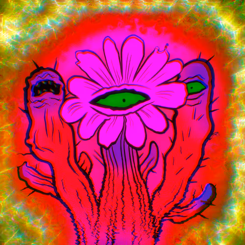 Item #18796052656861010829835703136414416621982119150381196110278500123337249783809 Media