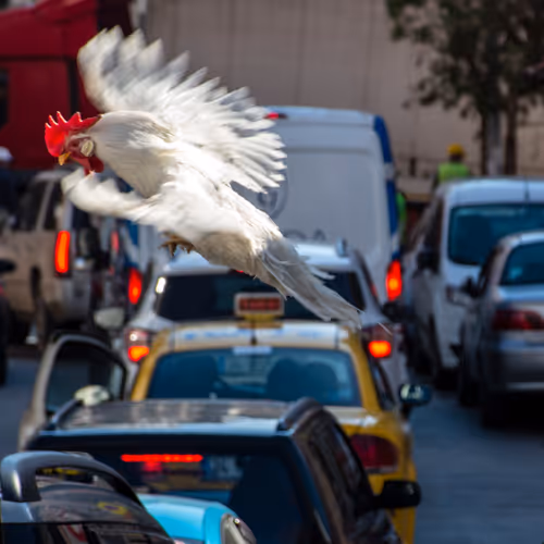 45698053960438807051727633621105073210005053048443120307747772239129799032833